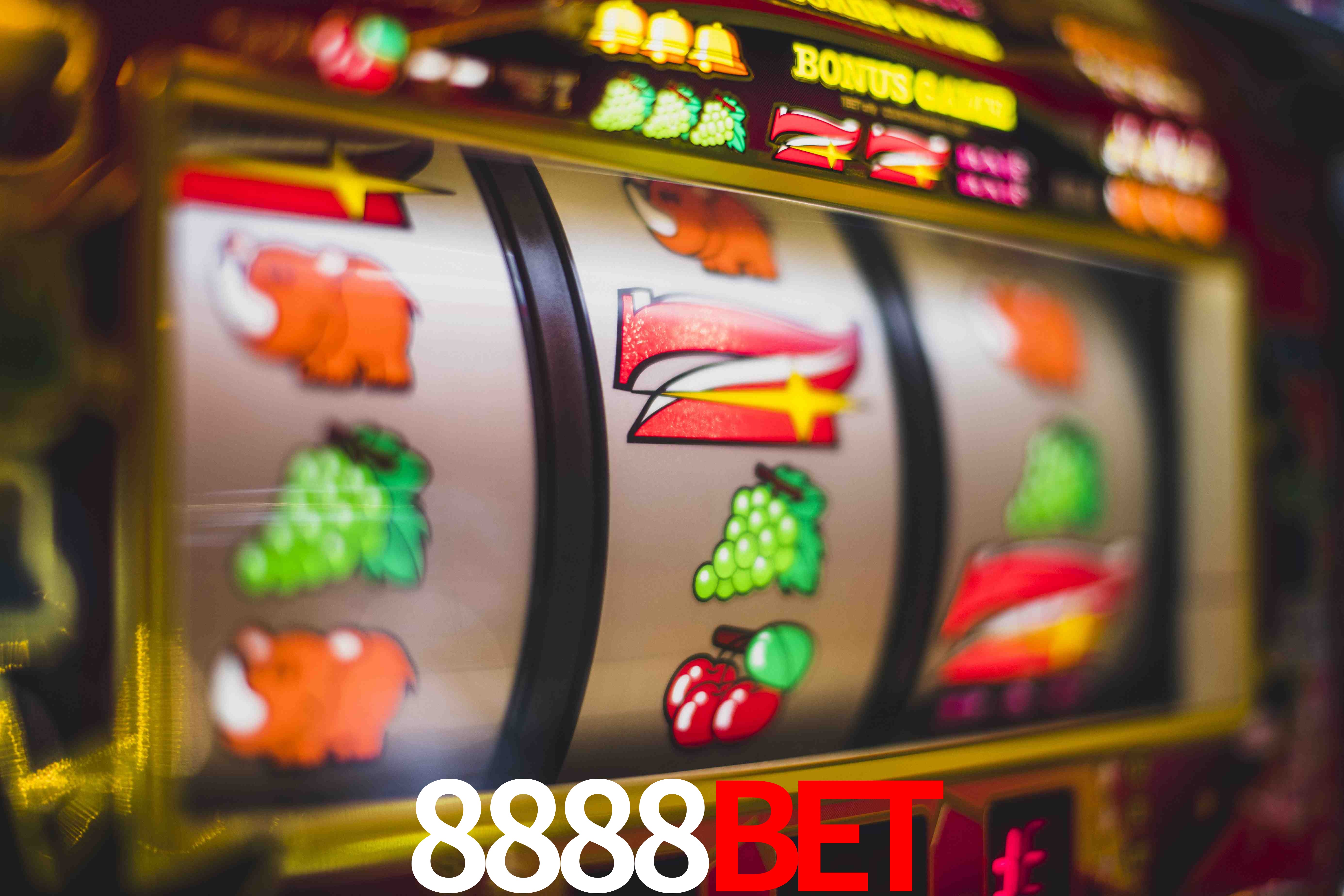 Statistics 8888BET